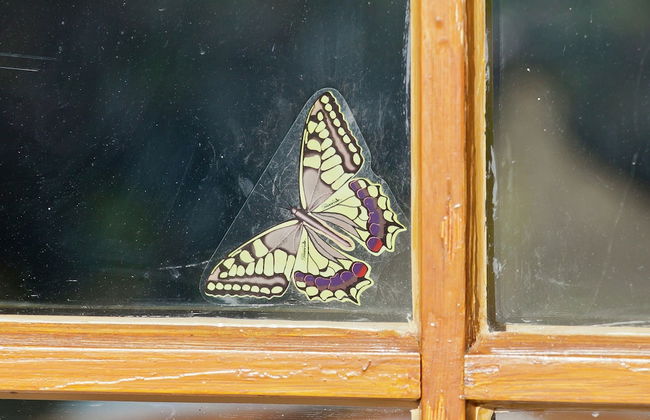 Holiday Home in the Knullgebirge With Balcony - Foto 16