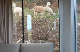 Galactic getaways MARS - Foto 20