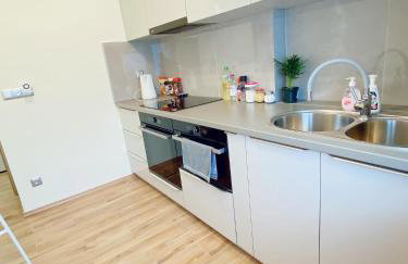 Apart WIKTORIA - Foto 12