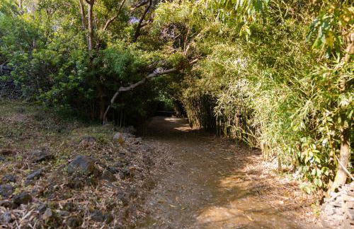 Caloura Suite - Photo 42