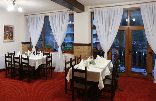 Pensiunea Elemar - Foto 22