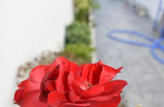 Bella's House 4 com Piscina - Foto 3