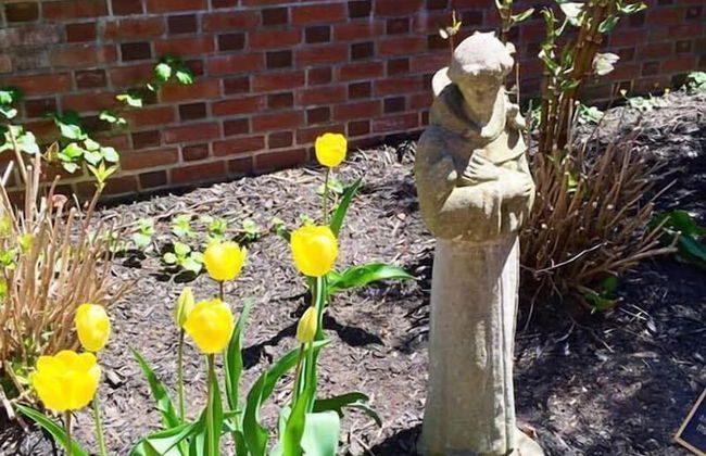 Crow's Nest Newport - Foto 6