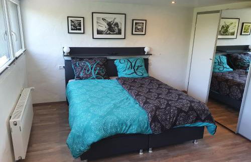 Schwarzer Kater Blankenheim - Foto 20