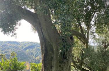 Corte degli Ulivi - Foto 34