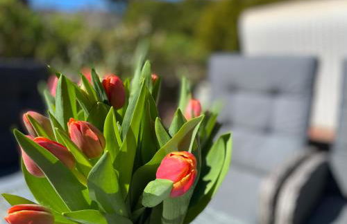 Robin Hood - Foto 15