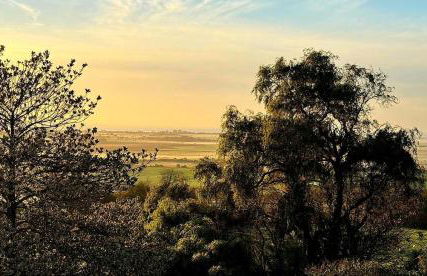 Pooh Corner - Photo 7