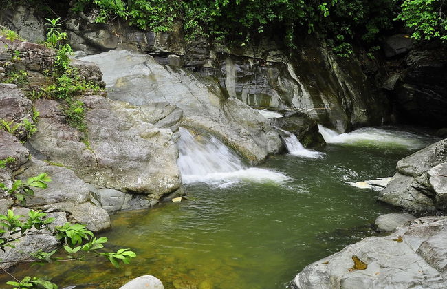 BADLADZ Staycation Condos - Foto 80