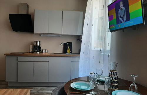 3 Apt T2 COSY de 40 à 50 M2 Idéal pour un déplacement PRO " Les IRIS " - Foto 21