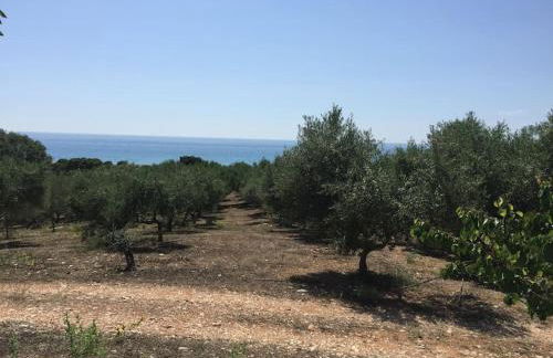 Vounaki Seaside Dreamland! - Foto 43