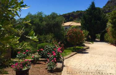 Mouses Apartments-Kardamyli - Foto 13