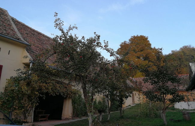 Casa Arthur - Foto 16