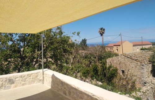 Pandera areopoli - Foto 32