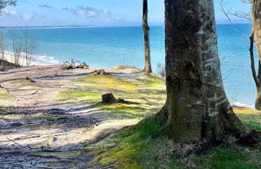 Siedlisko Wytowno - Foto 30