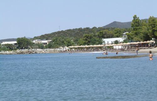 Ktima Develekou - Foto 61