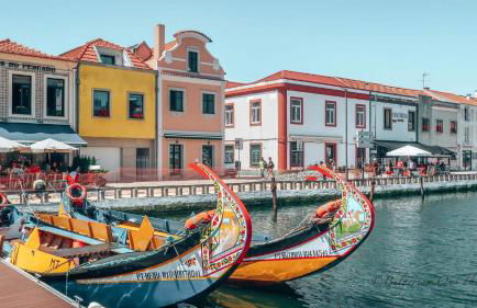 Casa de Coco - Foto 40