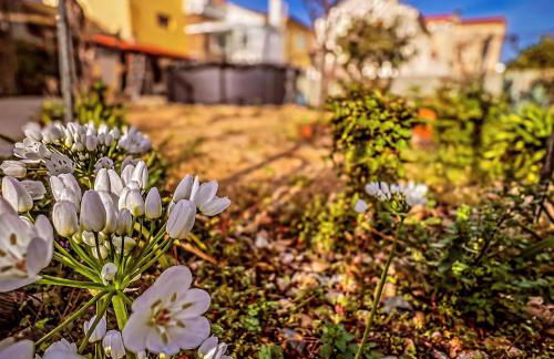 Casa da Muralha - Foto 72