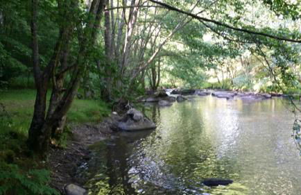 Gîtes LES Fougeres DU LAC - Foto 41