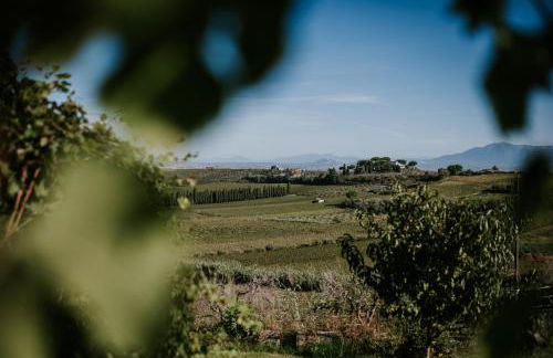 Merumalia Wine Resort - Foto 10