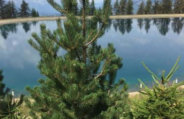 Appart très ensoleillé 5-6 pers au pied des pistes - Foto 6