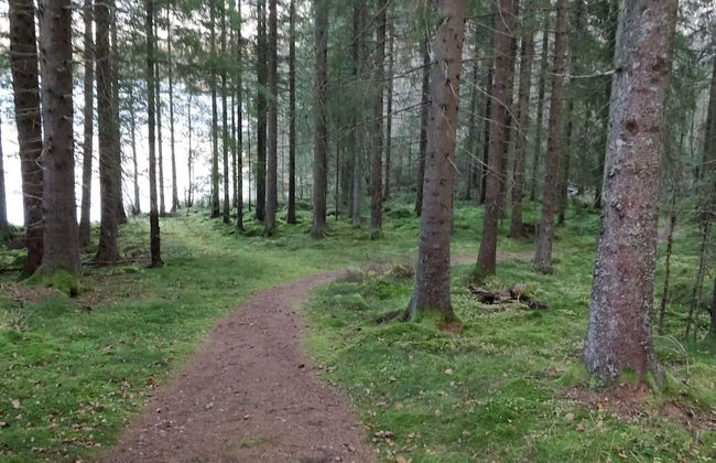 2 Person Holiday Home in Aplared-by Traum - Foto 17