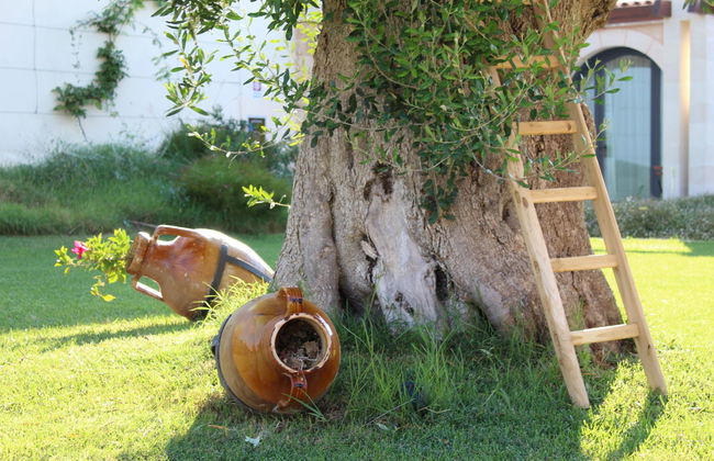 Masseria Stali, The Originals Relais - Foto 12
