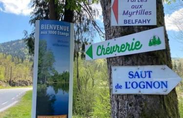 Ferme de ma Grand-Mère - Foto 14