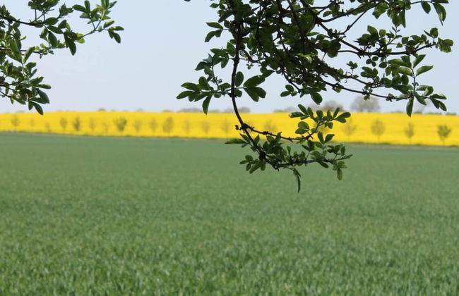 Modern Holiday Home in Brusow With Roofed Terrace - Foto 70