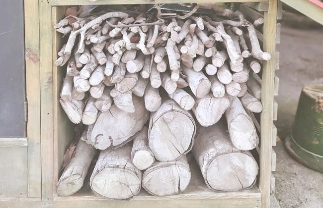 Quinta Pavo Real Complex by Acomodo - Photo 31