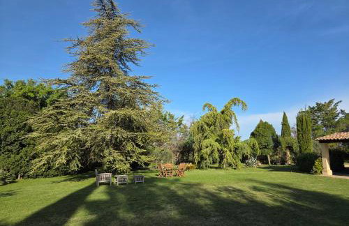 Suite de l'olivier au sein du Mas au Coeur de la Provence&SPA - Foto 18