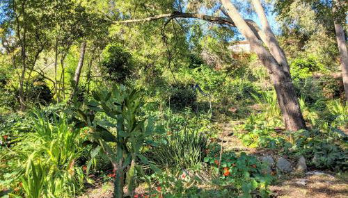 Hillmont paradise - Photo 5