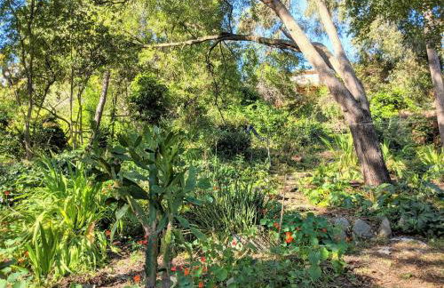 Hillmont paradise - Photo 5