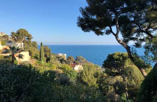 Luxurious sea view apartment - Foto 21