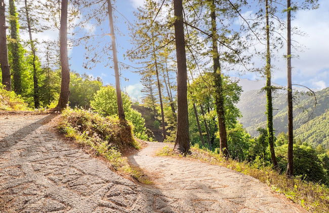 Nainital Retreat 2 Beds - by Dumnu Homes - Foto 17