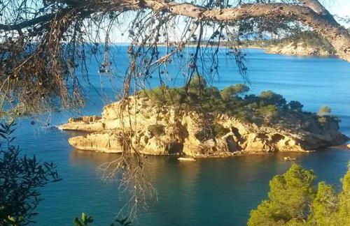 ROQUES DAURADES III - JARDIN PRIVADO - Foto 45