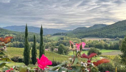 Incantevole Mugello - Foto 1