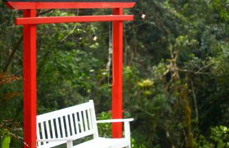 Propriedade inteira e Kombi-home em meio à mata - Foto 15