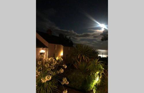 The Pink Cottage upstairs suite & Garden Summer Room - Foto 52