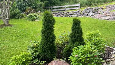 Villa Hochbahn in Schönau am Königssee - Photo 5