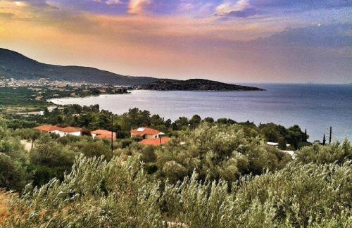 Athina EcoFarm - Foto 21