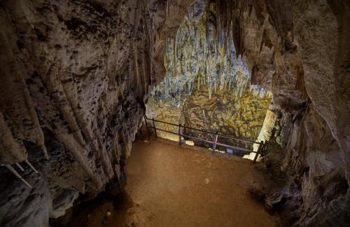 Studio Ivona - Foto 47