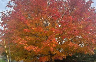 37 Wamphassuc Rd Château Stonington - Foto 39