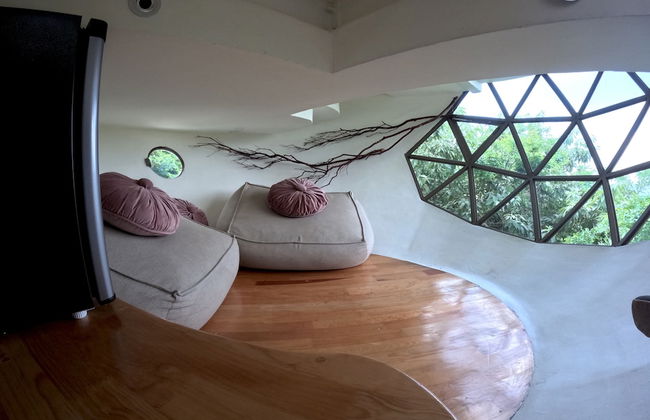 Bosque Geométrico - Foto 33