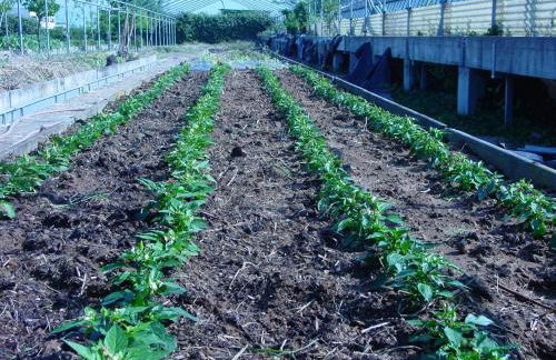 Fondo Brugarolo B&B - Foto 31