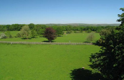 Swansea Valley Holiday Cottages - Foto 83