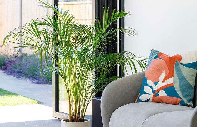 Luxury Designer Coastal Home for 10 With hot tub - Foto 11