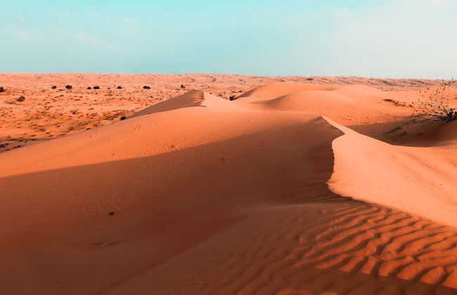 Al Wadi Desert Quad Tour - Foto 7