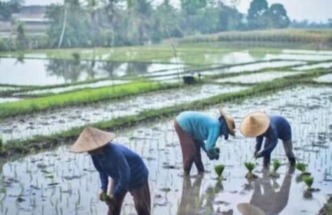 Royal Roco Villa - Foto 27