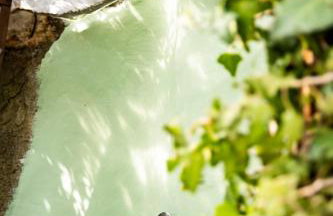 Il Nido a Portovenere - Foto 20