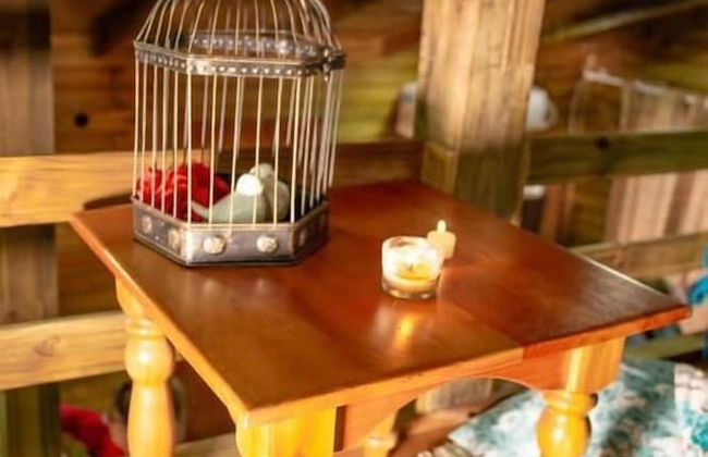 Cabanas Aconchego dos Canyons - Photo 41